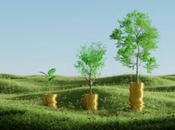 Anthony Blumberg - Tangible assets