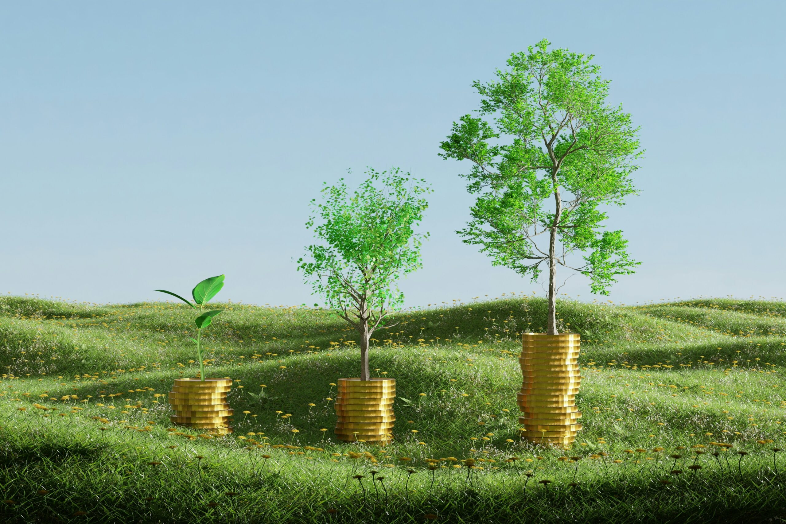 Anthony Blumberg - Tangible assets