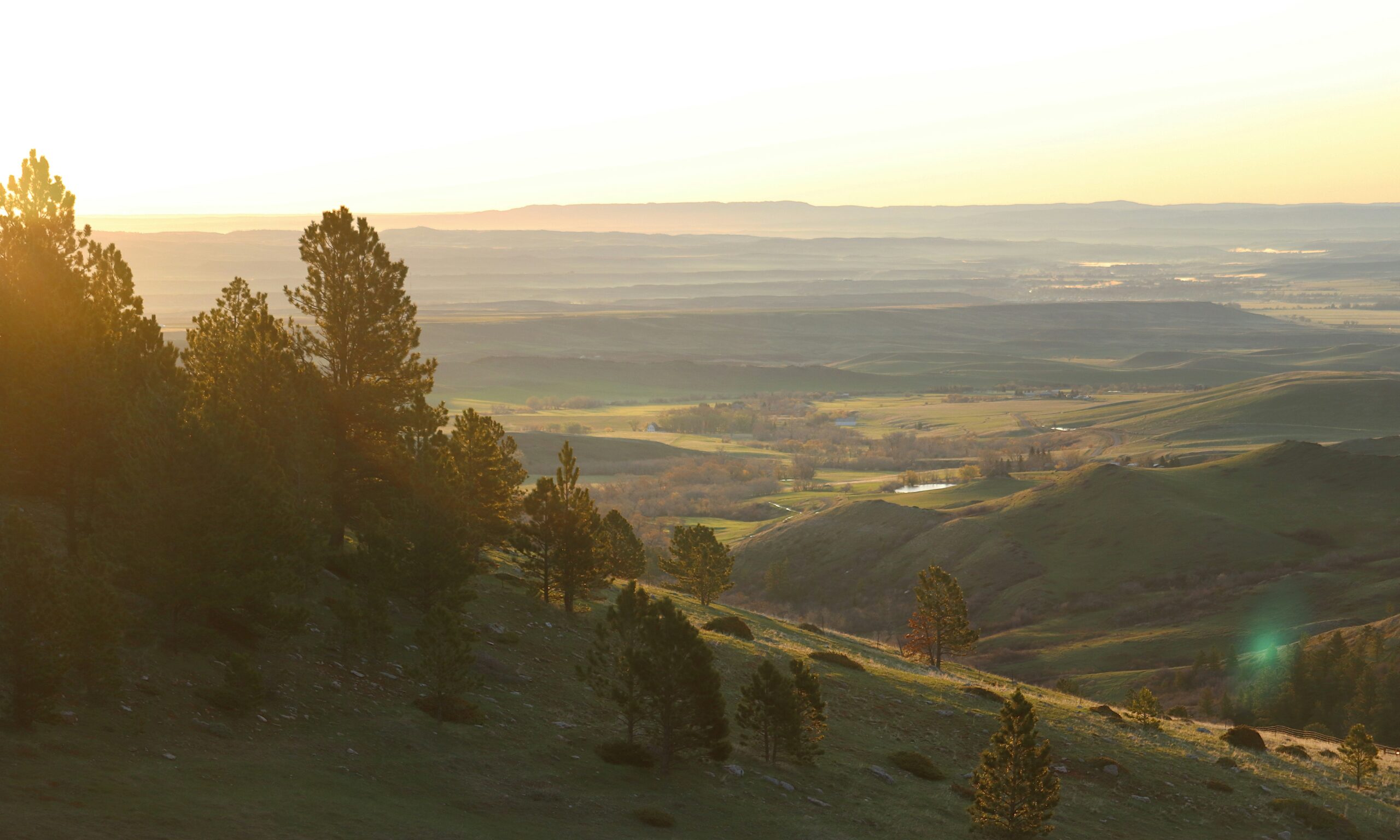 Anthony Blumberg - Sun Valley