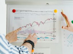 sustainable portfolio growth